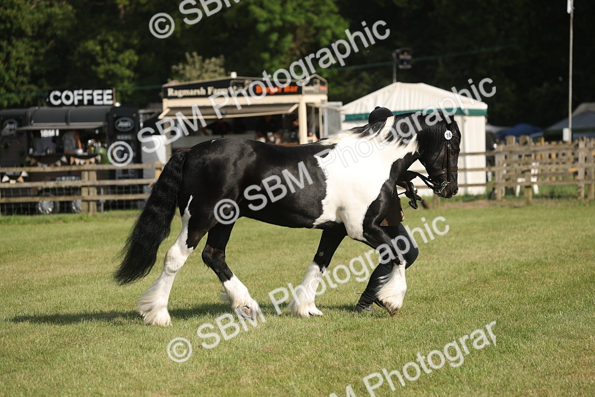 SBM_10326 - Class 33-38 - SSADL RIHS Qualifiers