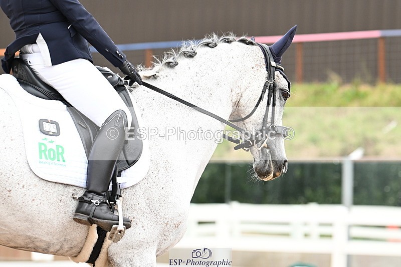 240815A-125525-01384 - 229-Jane.Phillips-Fair.duchess