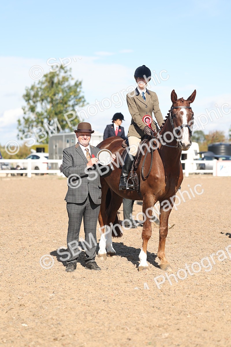 SBM_13102 - Class 305 - Ridden Foreign Breed Pure Bred