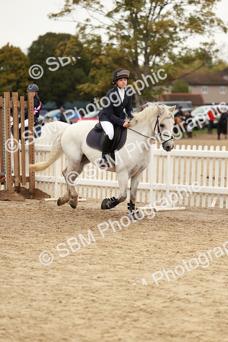 SBM_57901 - J11 - Junior Pony 50cm Championship