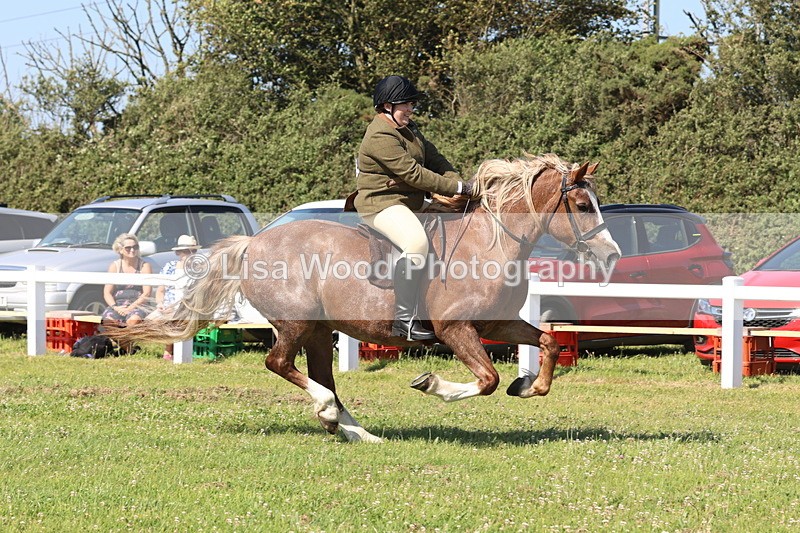 JPP_2094 - Cornish Combination Championship
