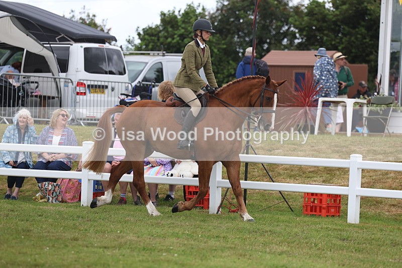 3E7A1376 - Class 9: Open Hunter