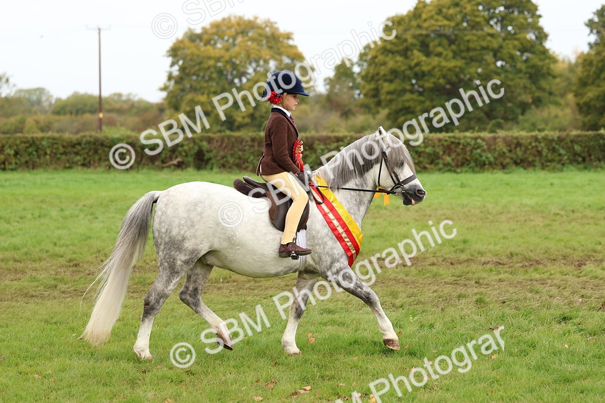 SBM_59818 - Start Supreme Championship