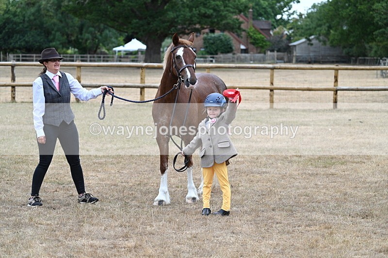 WJ7_8568 - Class 4 Prettiest Mare up to 14.2hh
