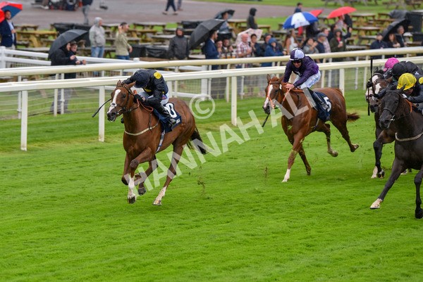 140723-Race 2-Swingalong-8124 - Race 2 2.40pm William Hill Summer Stakes