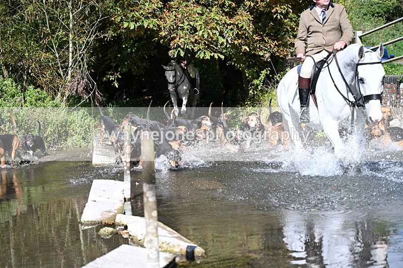 WJ7_5948 - Hounds Water Crossing