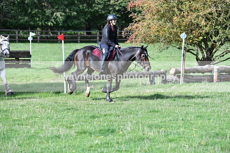 WJ5_7893 - Time 10:31 to 12:01