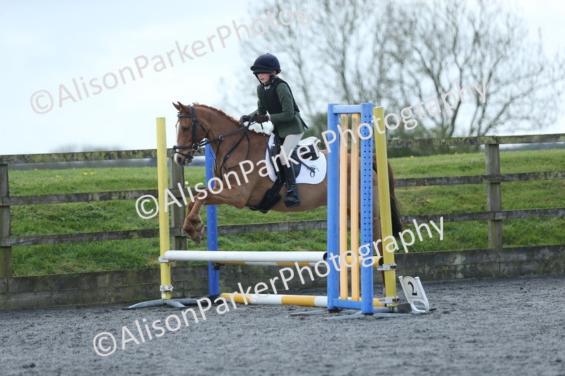 20260412-1767 - Show Jumping