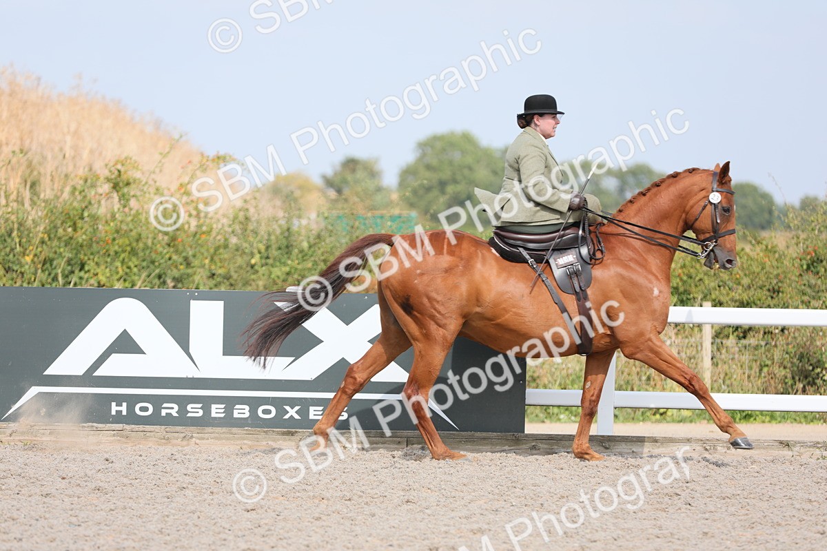 SBM_14529 - Class 211 Best Side Saddle Horse/Pony