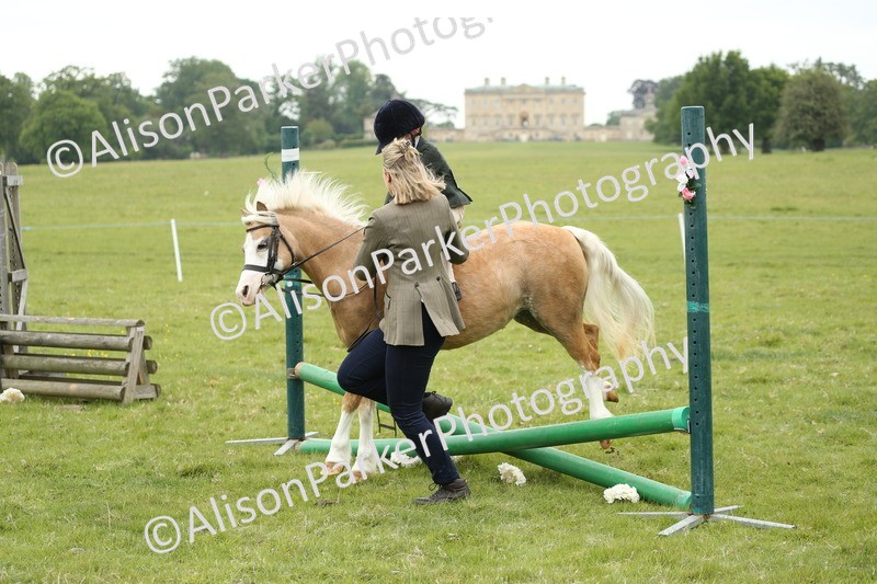 20250517-0446 - Class 20 - Beginners Working Hunter