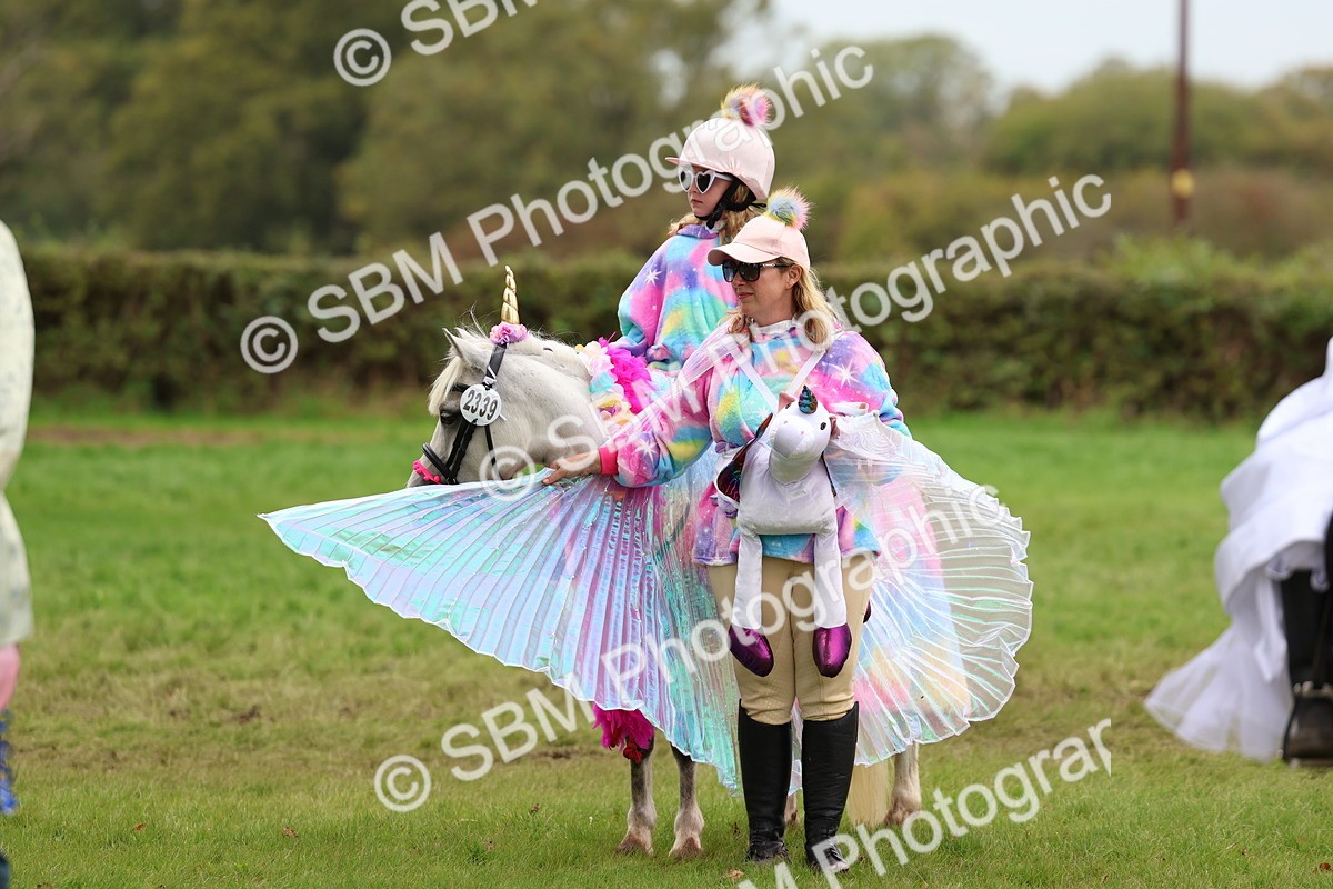SBM_62219 - S37b - Best Unicorn