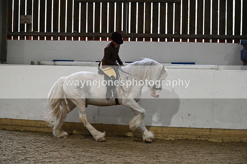 WJ7_3805 - Class 17 Ridden Cob