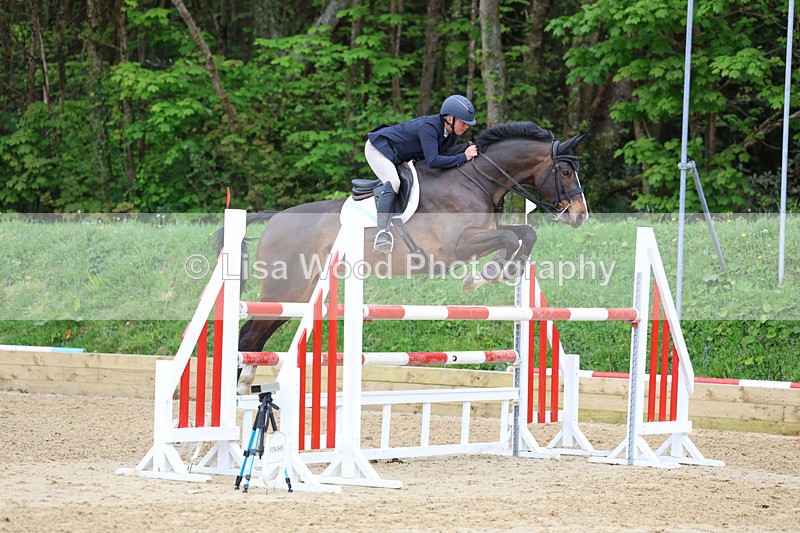 3E7A4081 - Class 7: Senior Foxhunter/1.20 open