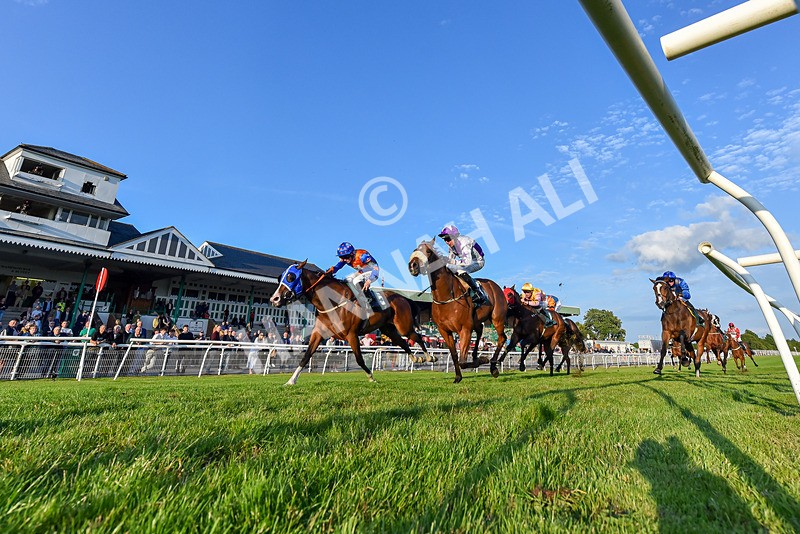 100625-Race 7-Miss Rainbow-4222 - Race 7