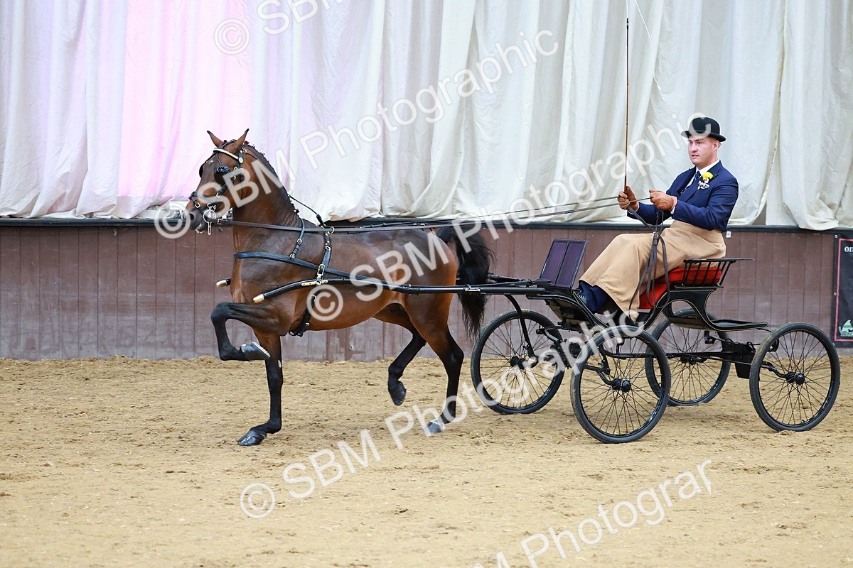 SBM_000657 - Class 9 - HHS Championship Intl Hackney Pony to a Showwagon