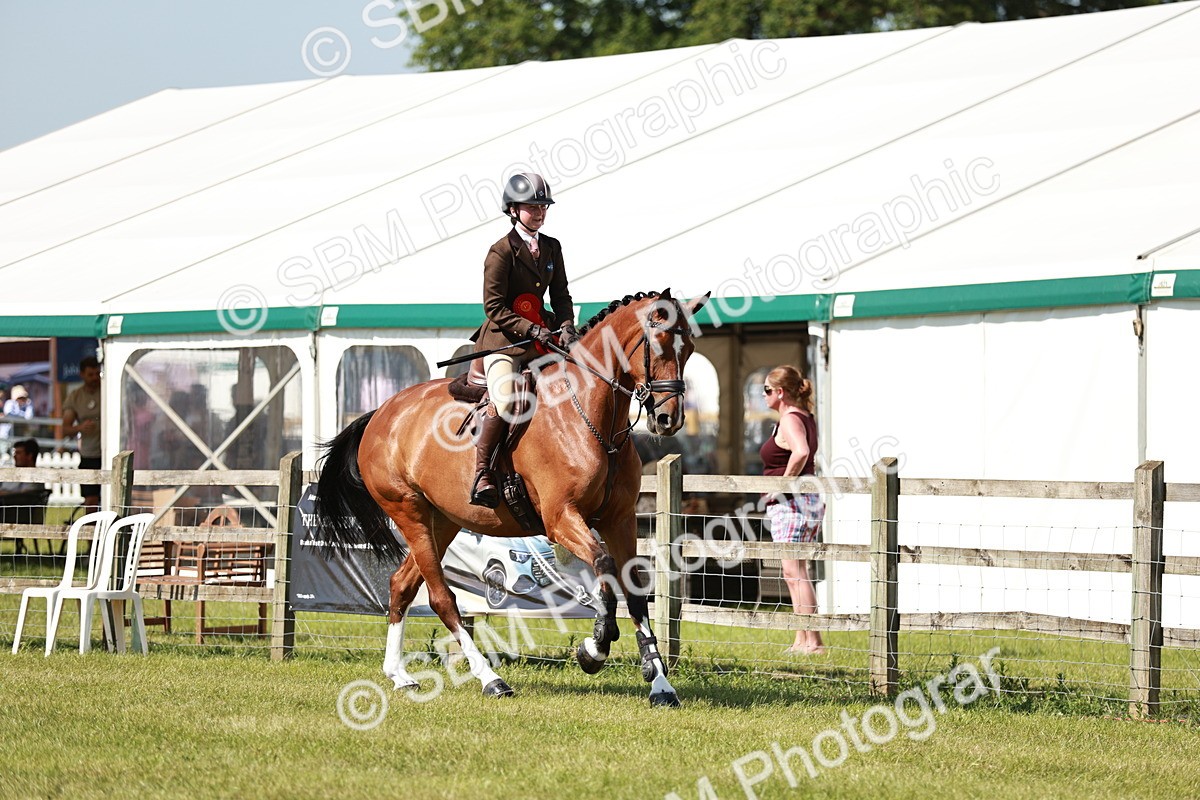 SBM_18487 - Class 112-113 - BSPS LIHS Working Sports Pony