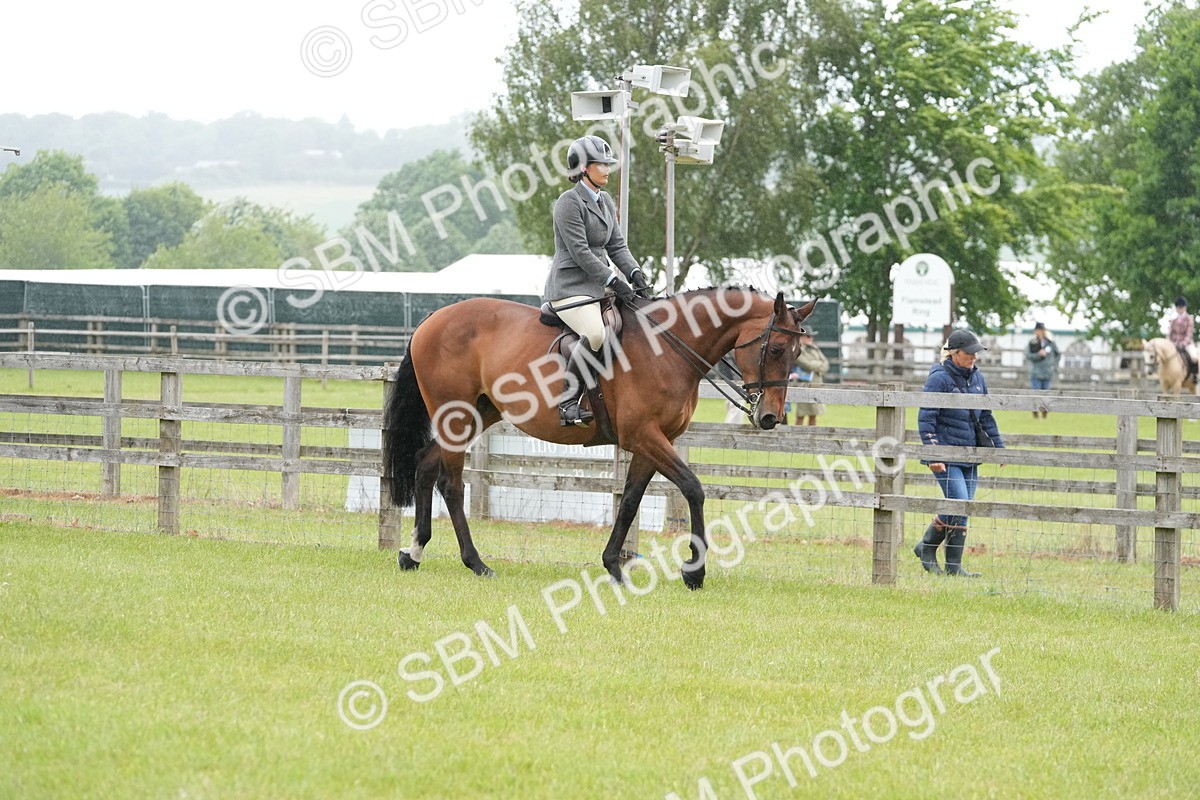 SBM_12633 - Class 97-98 - LIHS BSHA Rising Star Working Show Horse Hunter