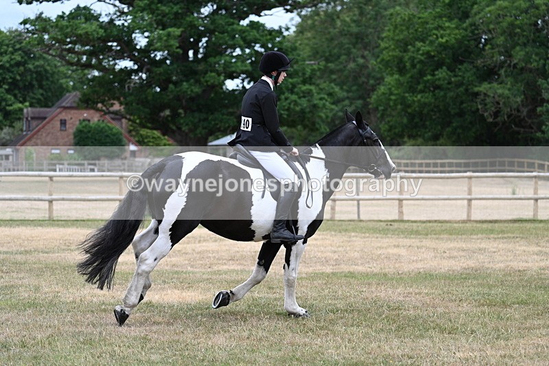 WJ7_1017 - Class 3 Family Mount