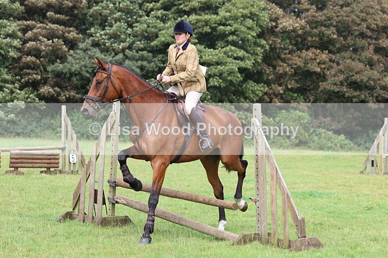 3E7A5834 - Class 26 and 27: 70cm Working Hunter