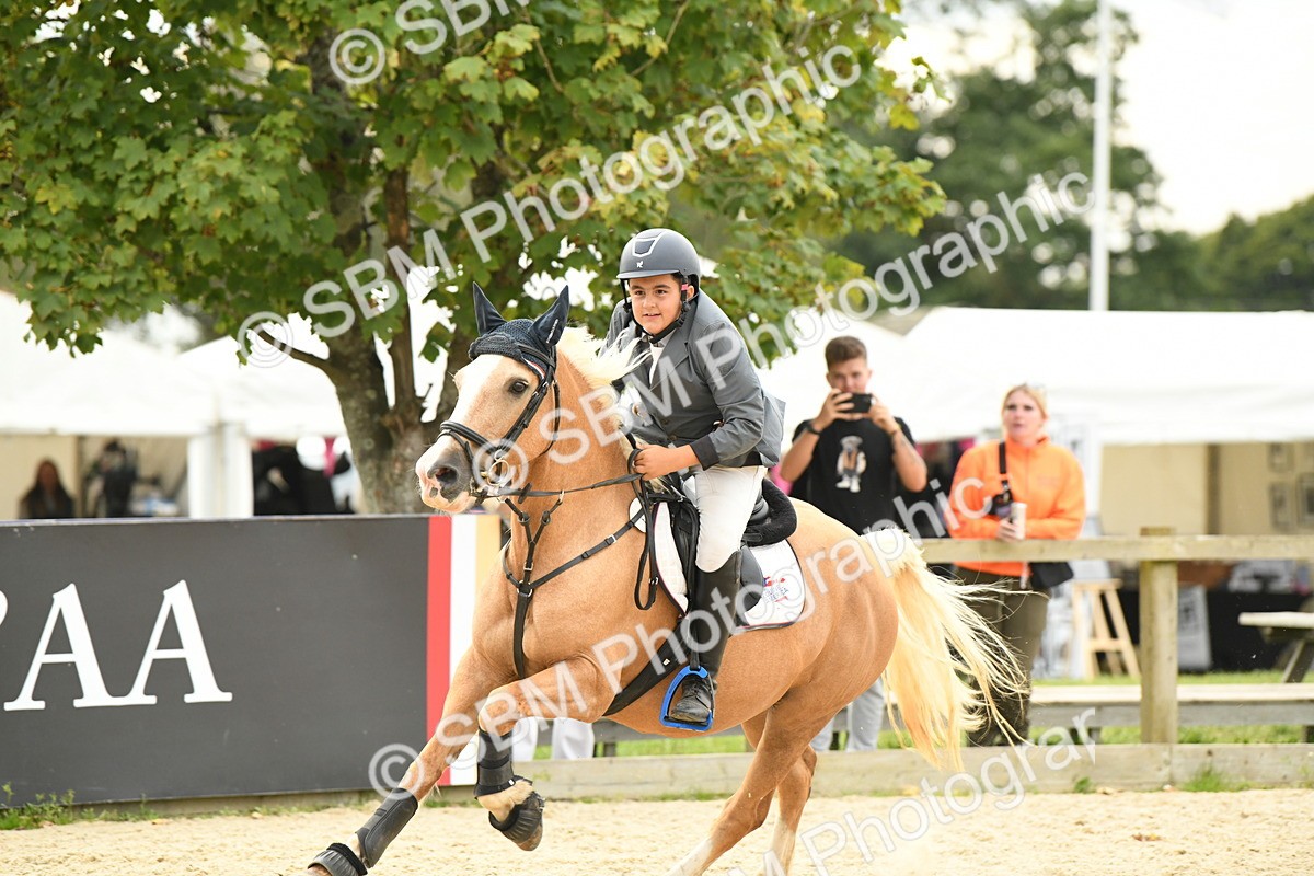 SBM_75724 - Supreme Championship