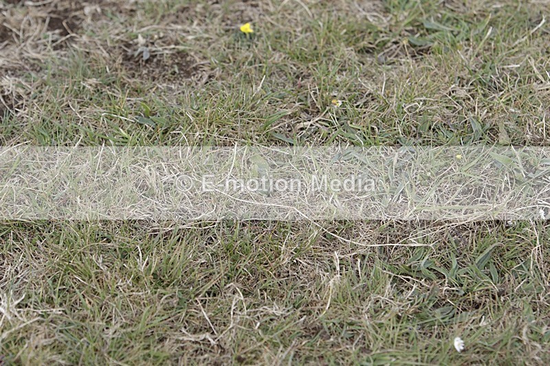 BVHT 140517 I-601 - Class 1 SJ Intermediate 14/05/17