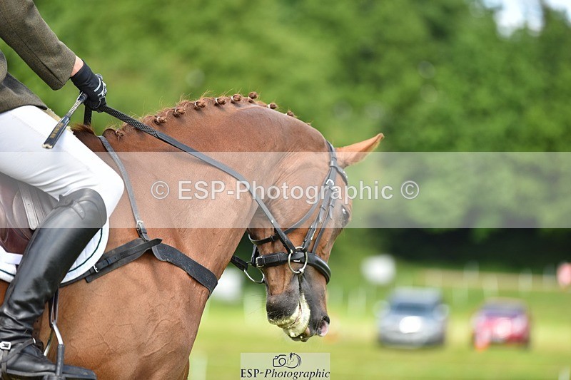 240523B-132350-02405 - 5 Year Old