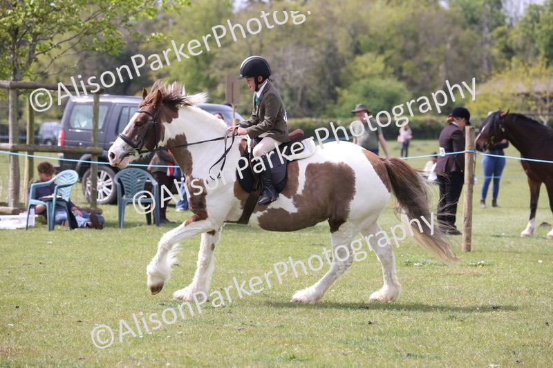 20260426-4412 - Class 34 - Best Riding Horse Over 14.2hh