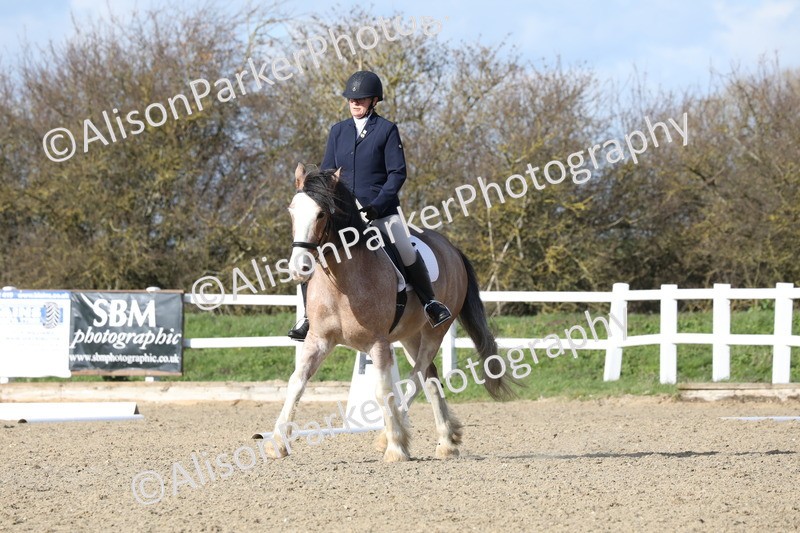 20260314-5003 - CT6 - Elementary 1