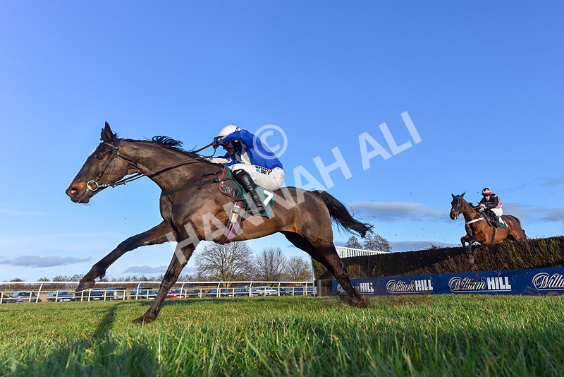 250225-Race 5-Sean Og-0795 - Race 5