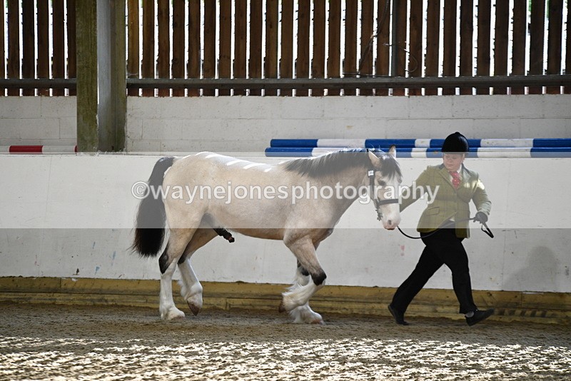 WJ5_3447 - Class 1 Youngstock