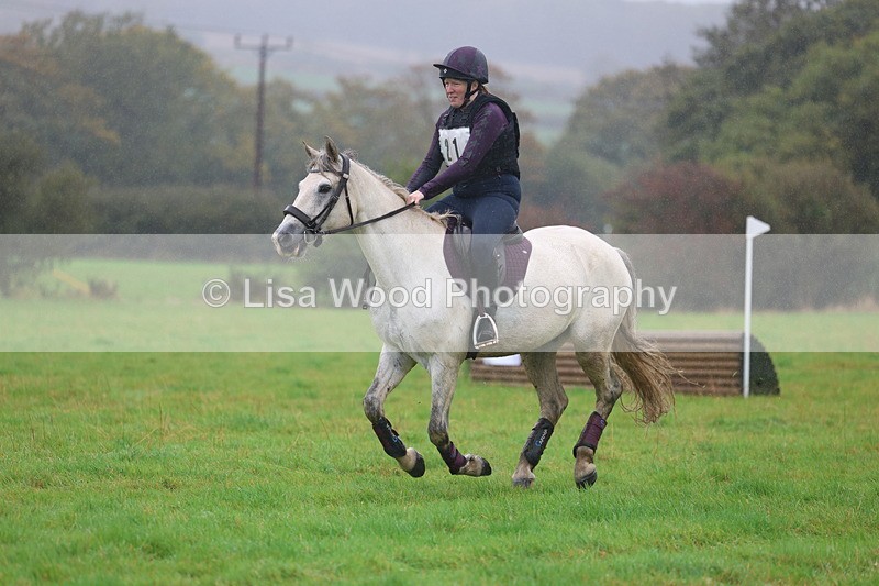 3E7A0990 - Class 1: 65cm: Rails