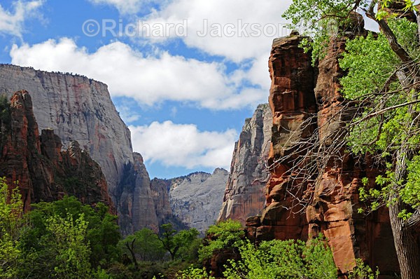 Image #4 - Zion National Pk.- 2011