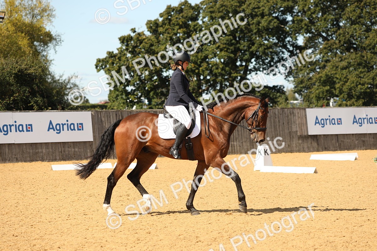 SBM_22280 - D17 - Grand Tour Championship - Novice 27