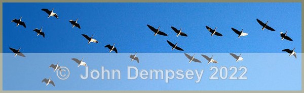 Overhead - Montrose Basin