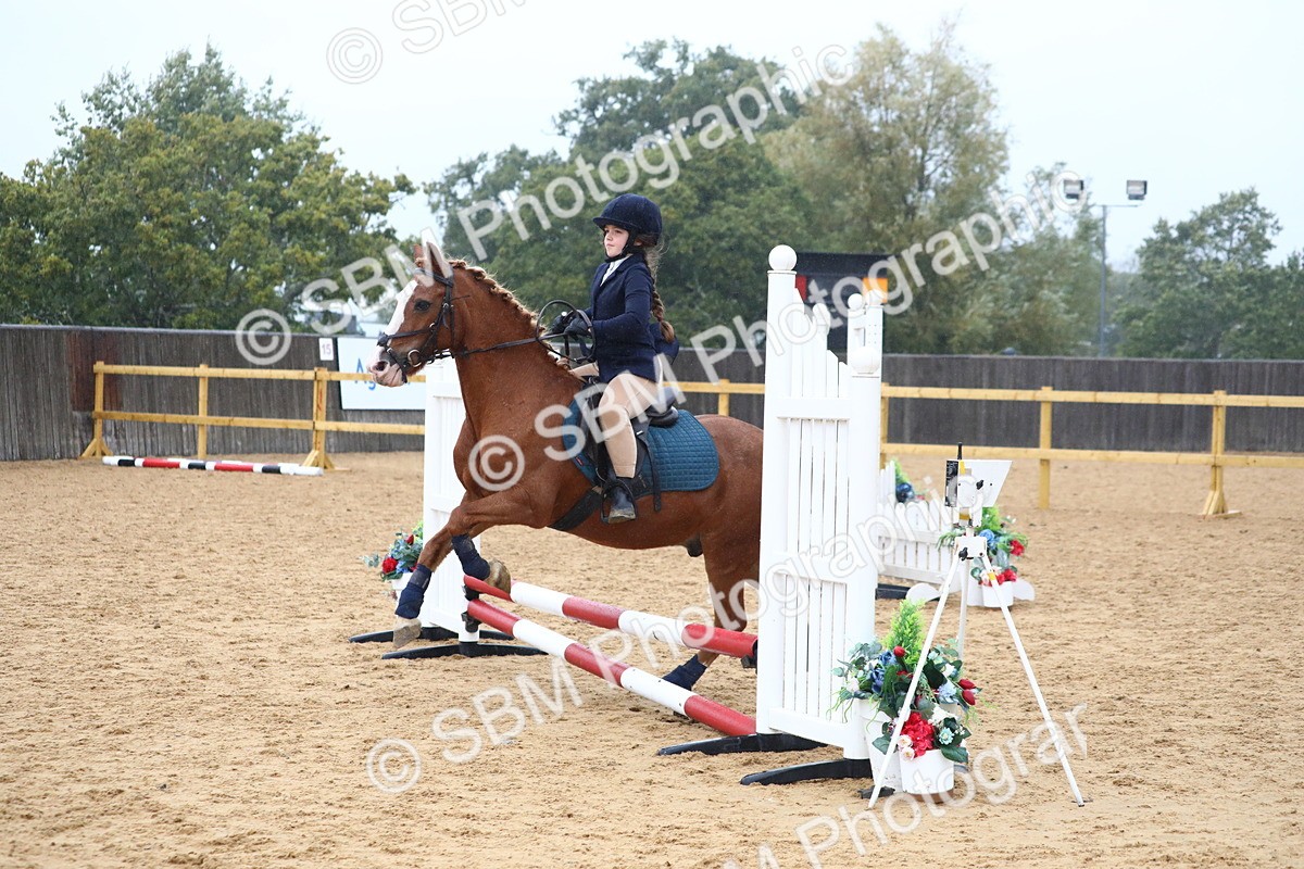 SBM_71666 - J4 - Mini Tour Junior Pony 45cm Championship