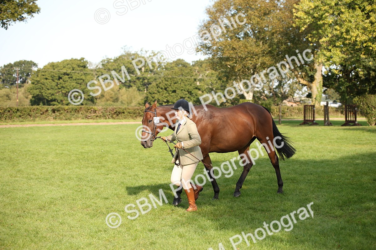 SBM_60104 - S53 - Hunter In Hand