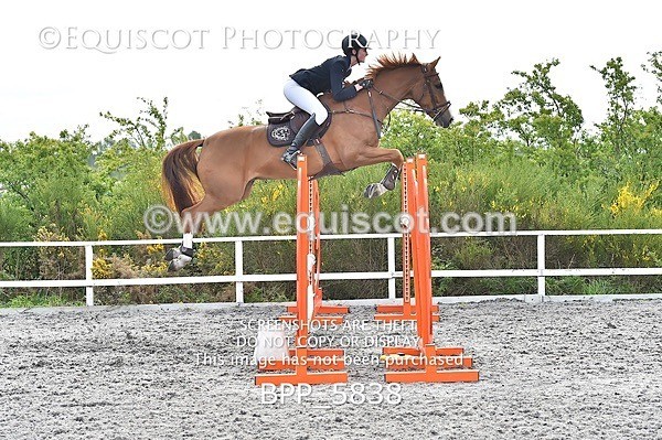 BPP_5838 - SUN CLASS 33 FOX/1.20M