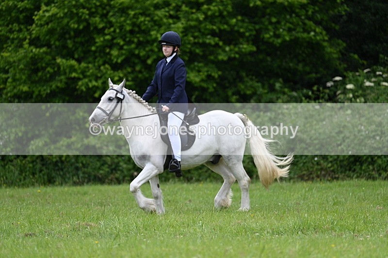WJ7_2622 - Class 12A Coloured Class