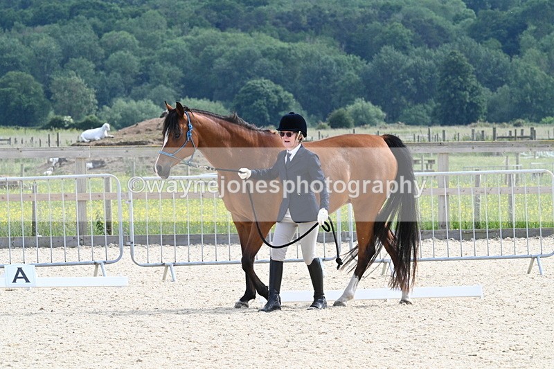 WJ7_8188 - Time 16:10 to 16:25