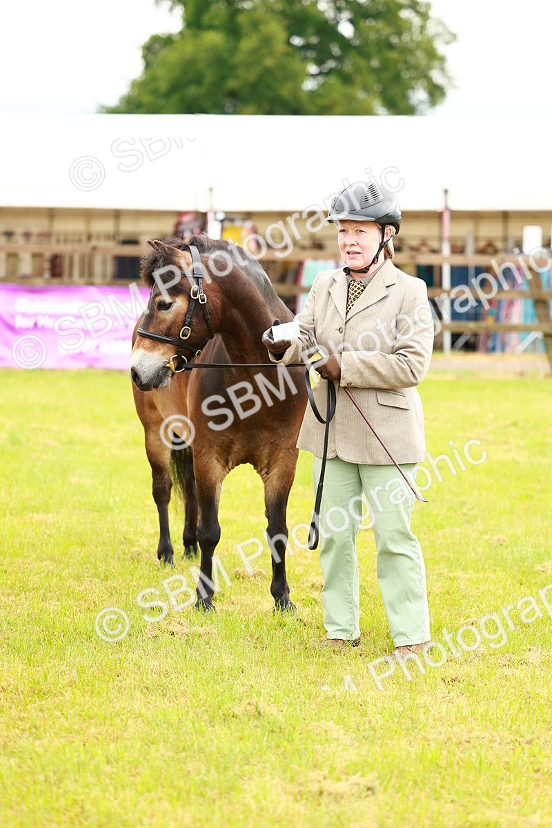 SBM_00285 - Class 58-67 - M&M Non Welsh Pony In hand