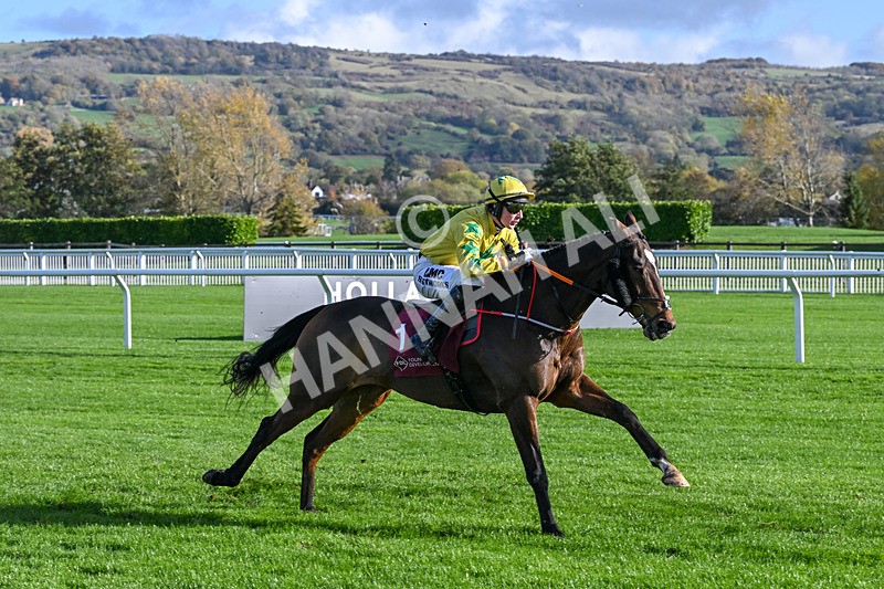 241025-Race 3-Fiveonefive-3158 - Race 3