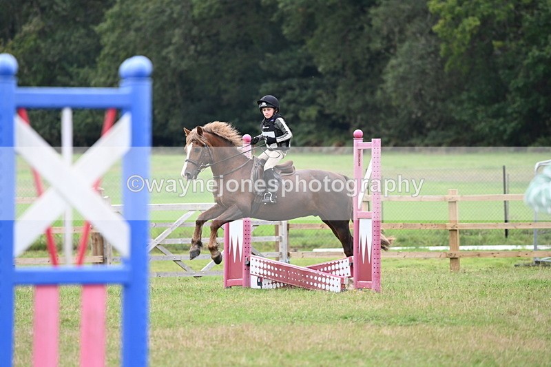 WJ6_0292 - 40cm Time 10:00 to 10:28