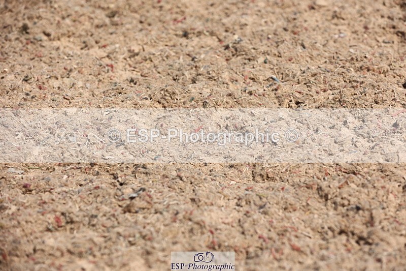 240621A-095252-00033 - Cls 3 BD Music Prelim