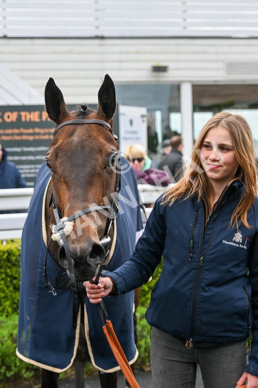 240424-Race 2-Restless Prince-7837 - Race 2