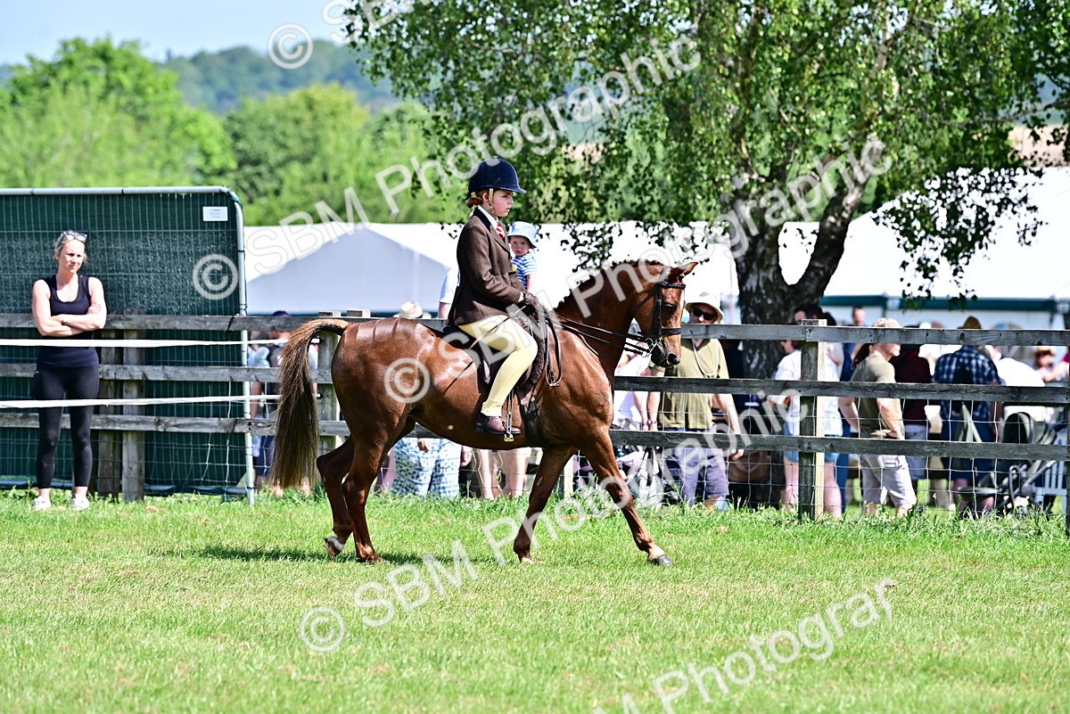 SBM_13863 - Class 95-97 - BSPS LHS Performance Ponies