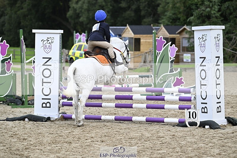 251005A-120741-03614 - Cls 08 Mini 70-75cm