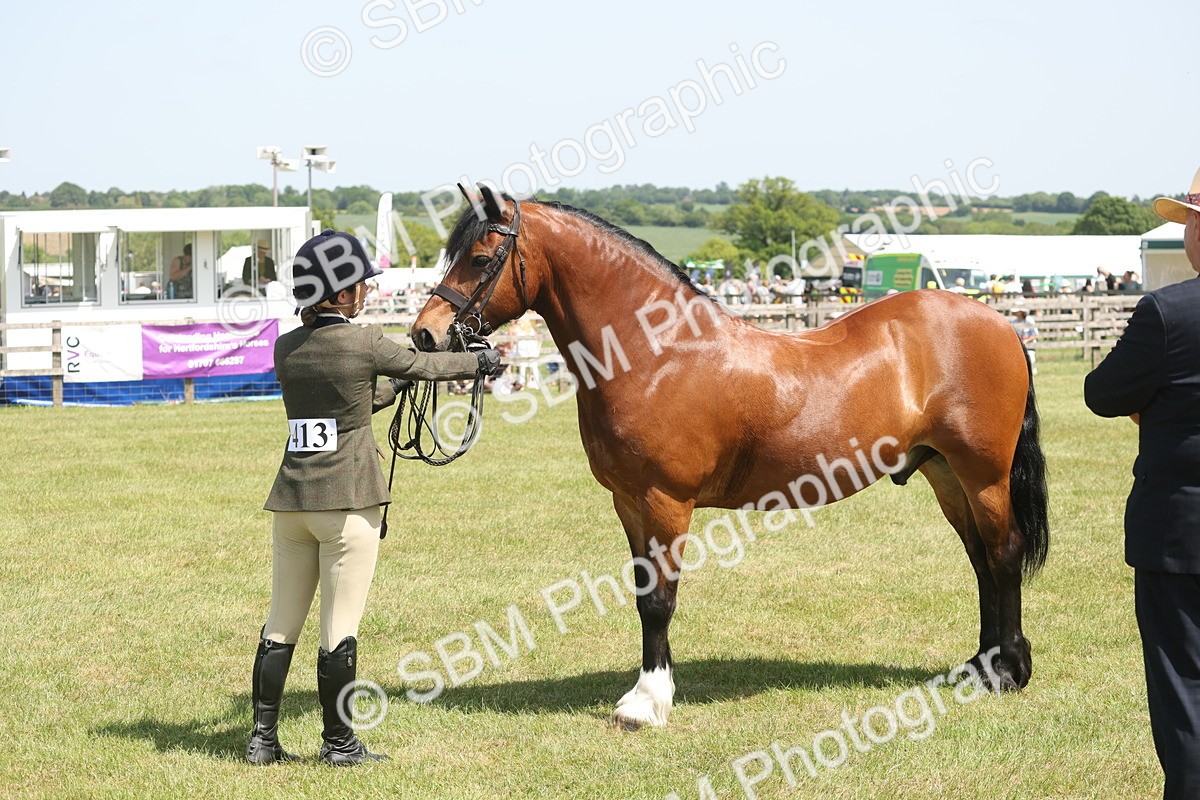SBM_06974 - Class 26-30 - Mountain and Moorland Ridden
