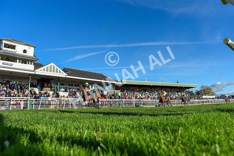 291024-Race 3-Kings Scholar-2397 - Race 3