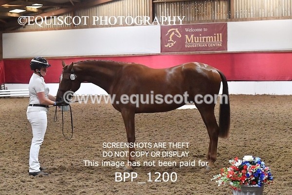 BPP_1200 - MORNING 9AM - 12PM