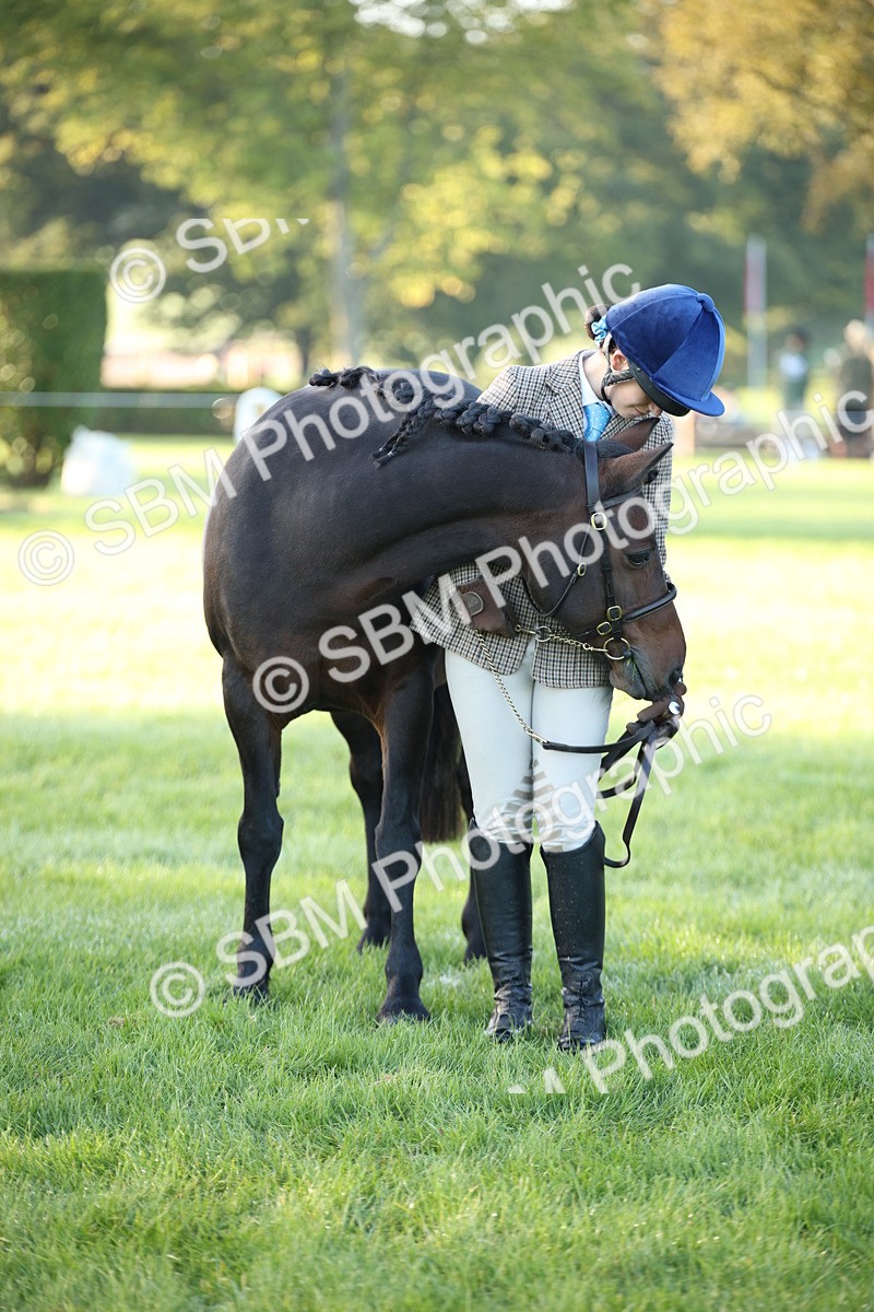 SBM_32344 - S8 - Best Turned Out